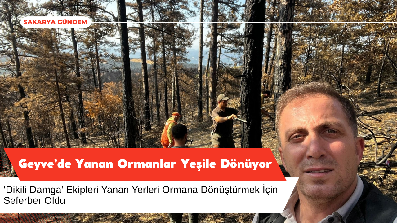 Geyve’de Yanan Ormanlar Yeşeriyor