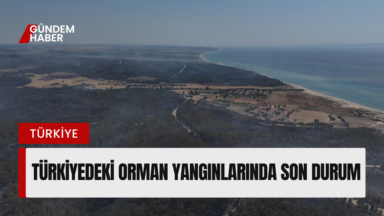 Türkiye'de Orman Yangınları Ne Durumda? Devam Eden İller