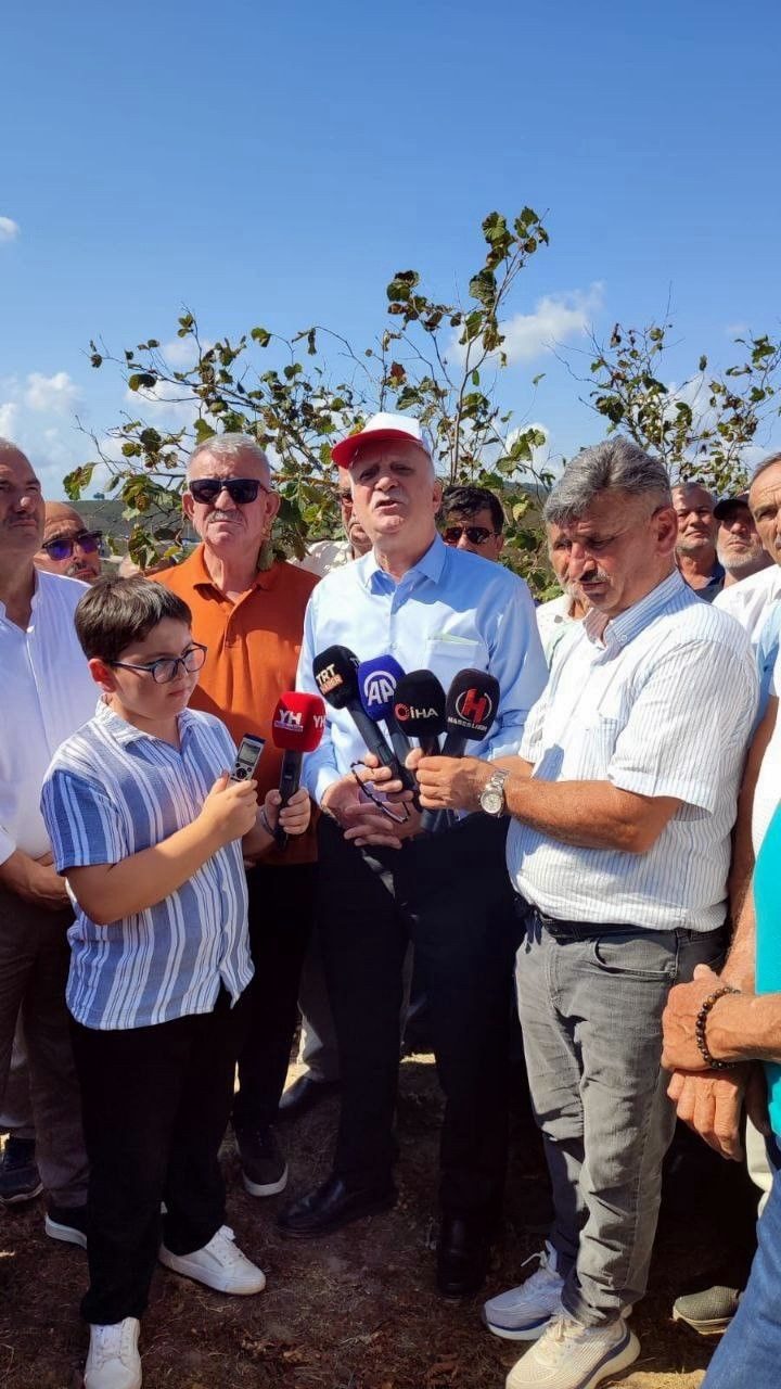 Kuraklık ve Don Fındık Verimini Tehdit Ediyor - Sayfa 2