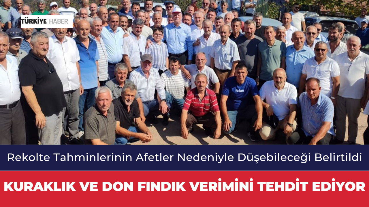Kuraklık ve Don Fındık Verimini Tehdit Ediyor