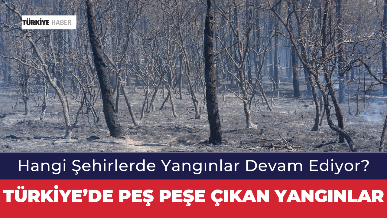 “Türkiye’de Peş Peşe Orman Yangınları Kontrol Altında”