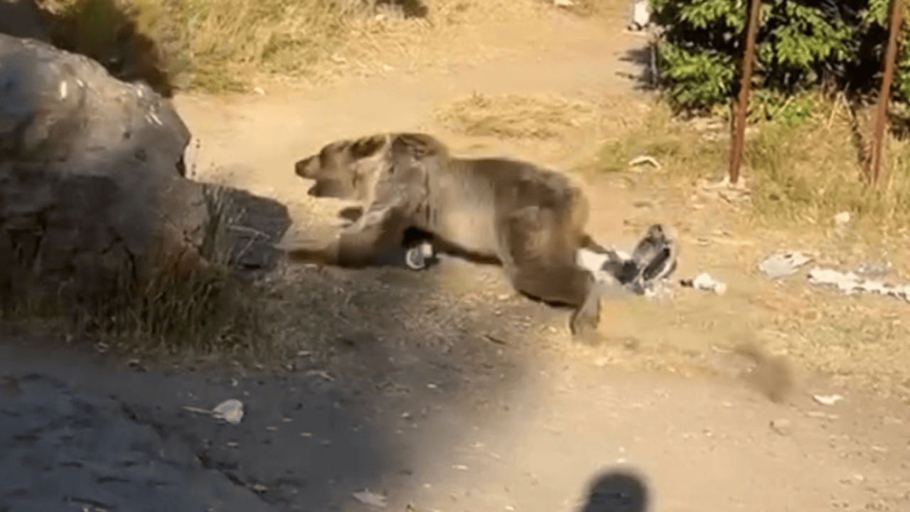 Yeni Doğan Bebeğinin Canını Hiçe Saydı