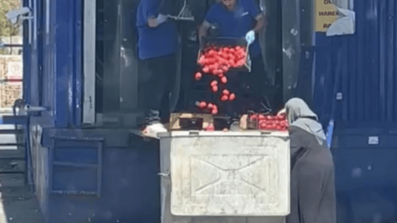 Çöpe Atılan Domatesleri Bir Vatandaş Böyle Topladı