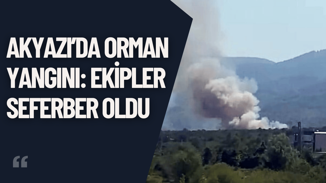 Akyazı’da Orman Yangını: Ekipler Seferber Oldu