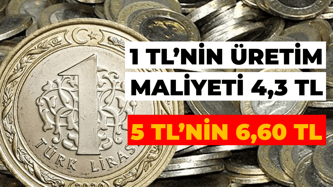 1 TL'nin Üretim Maliyeti 4,3 TL'yi Geçti