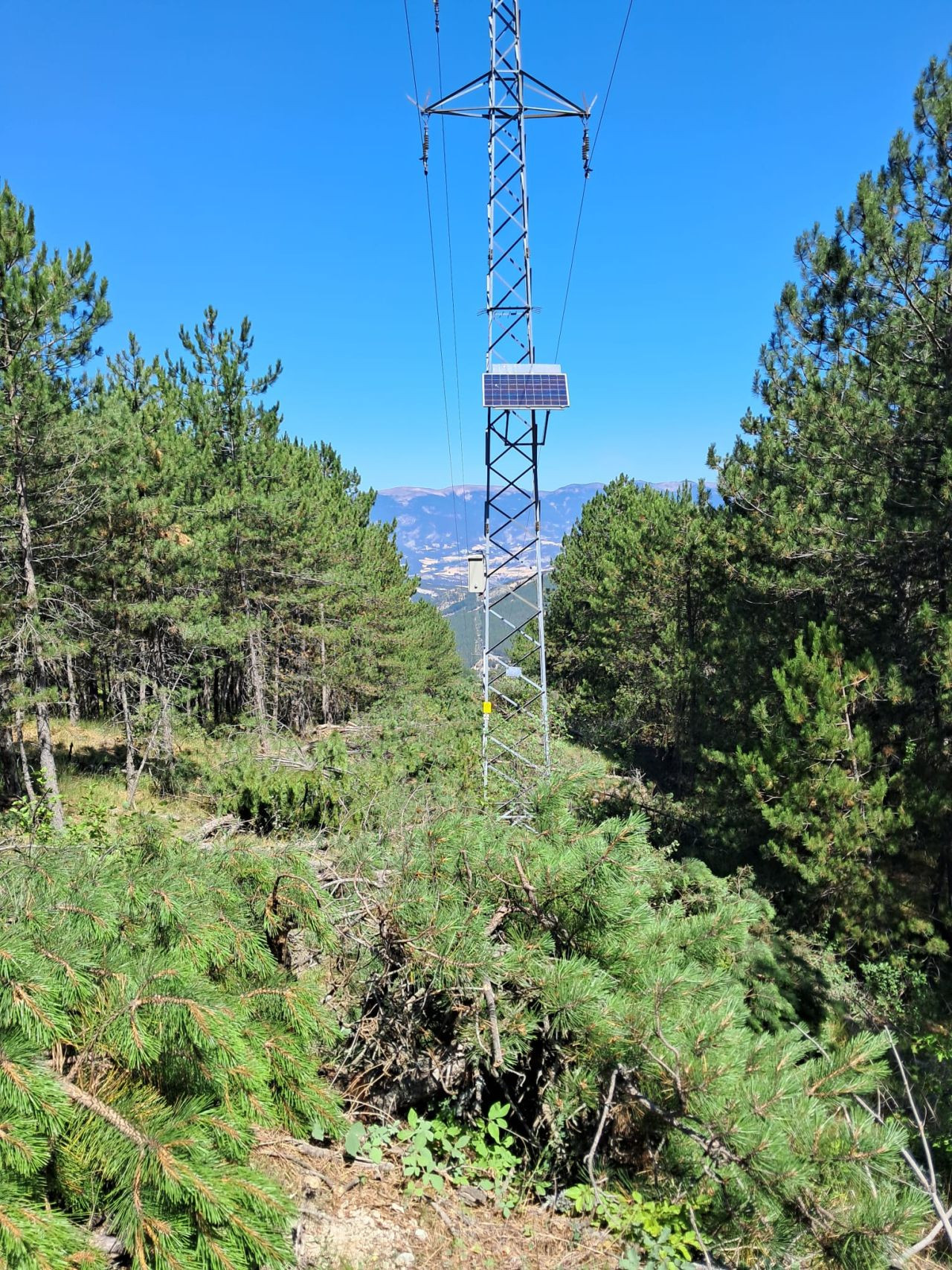 SEDAŞ, Orman Yangınlarına Karşı Drone Destekli Denetimlerini Artırdı - Sayfa 3