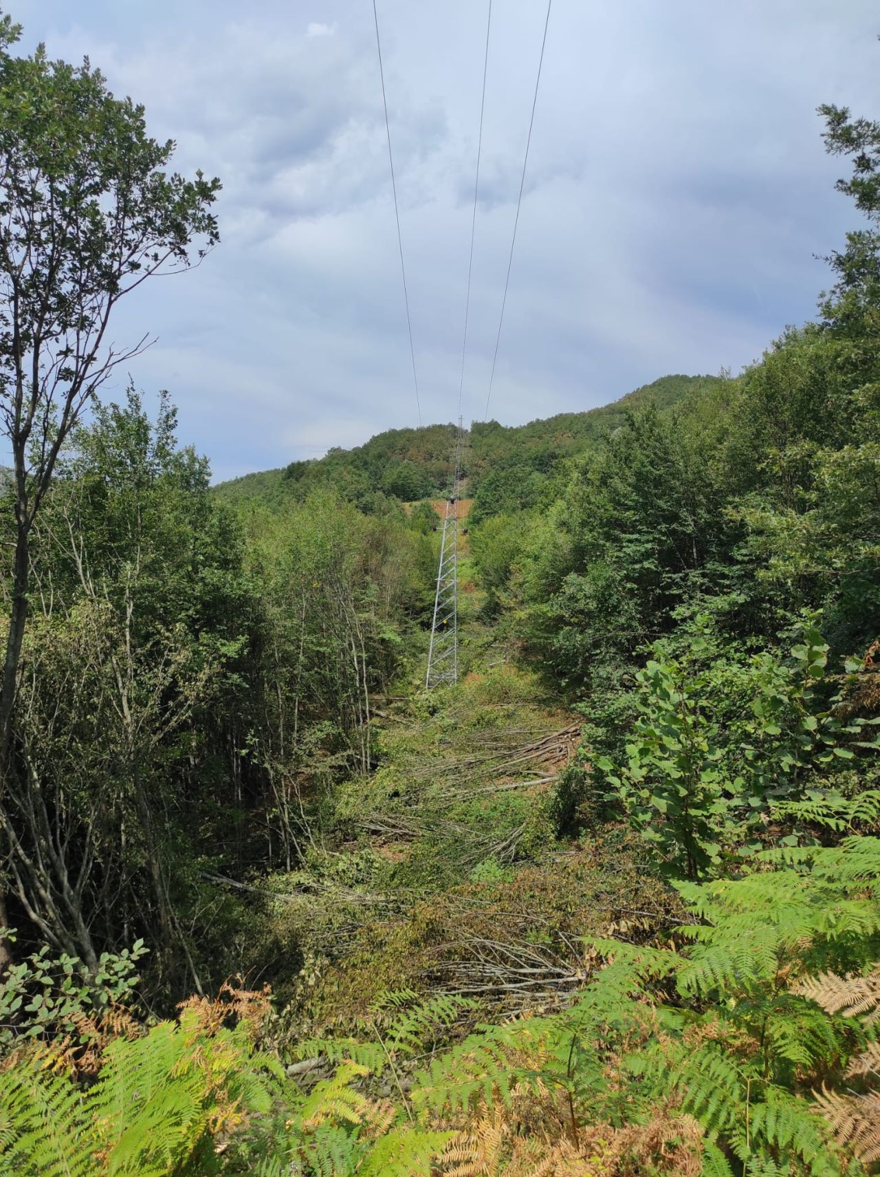 SEDAŞ, Orman Yangınlarına Karşı Drone Destekli Denetimlerini Artırdı - Sayfa 8
