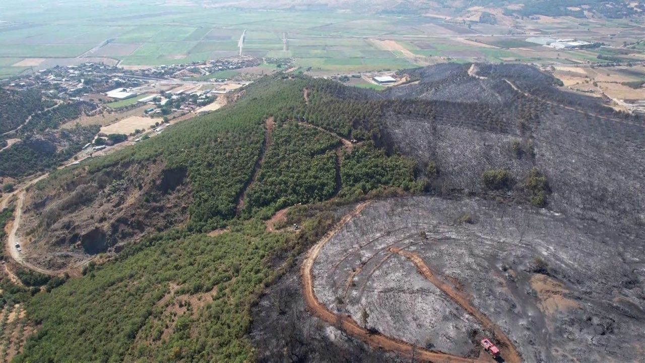 Bursa’da Orman Yangını Geriye Gri Bir Manzara Bıraktı - Sayfa 1