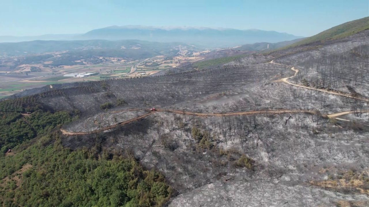 Bursa’da Orman Yangını Geriye Gri Bir Manzara Bıraktı - Sayfa 2