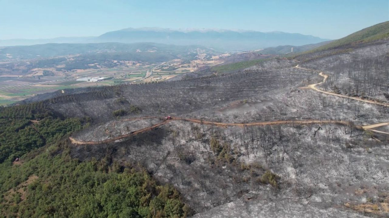 Bursa’da Orman Yangını Geriye Gri Bir Manzara Bıraktı - Sayfa 3