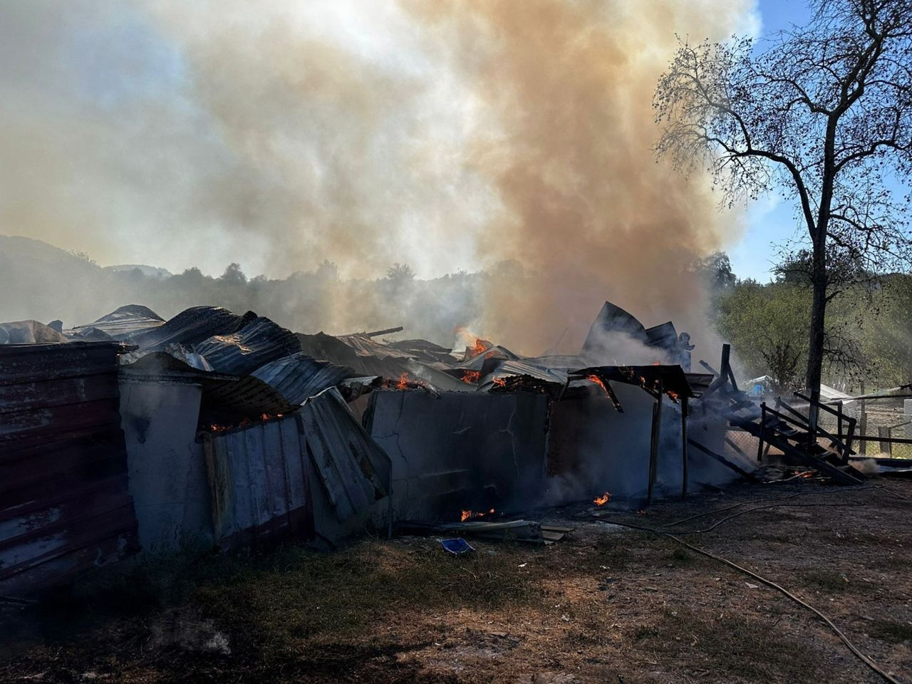 Kocaali’de Samanlık Yangını - Sayfa 1