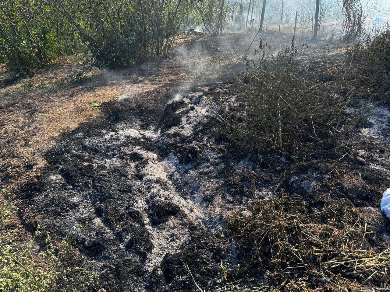 Kocaali’de Samanlık Yangını - Sayfa 5