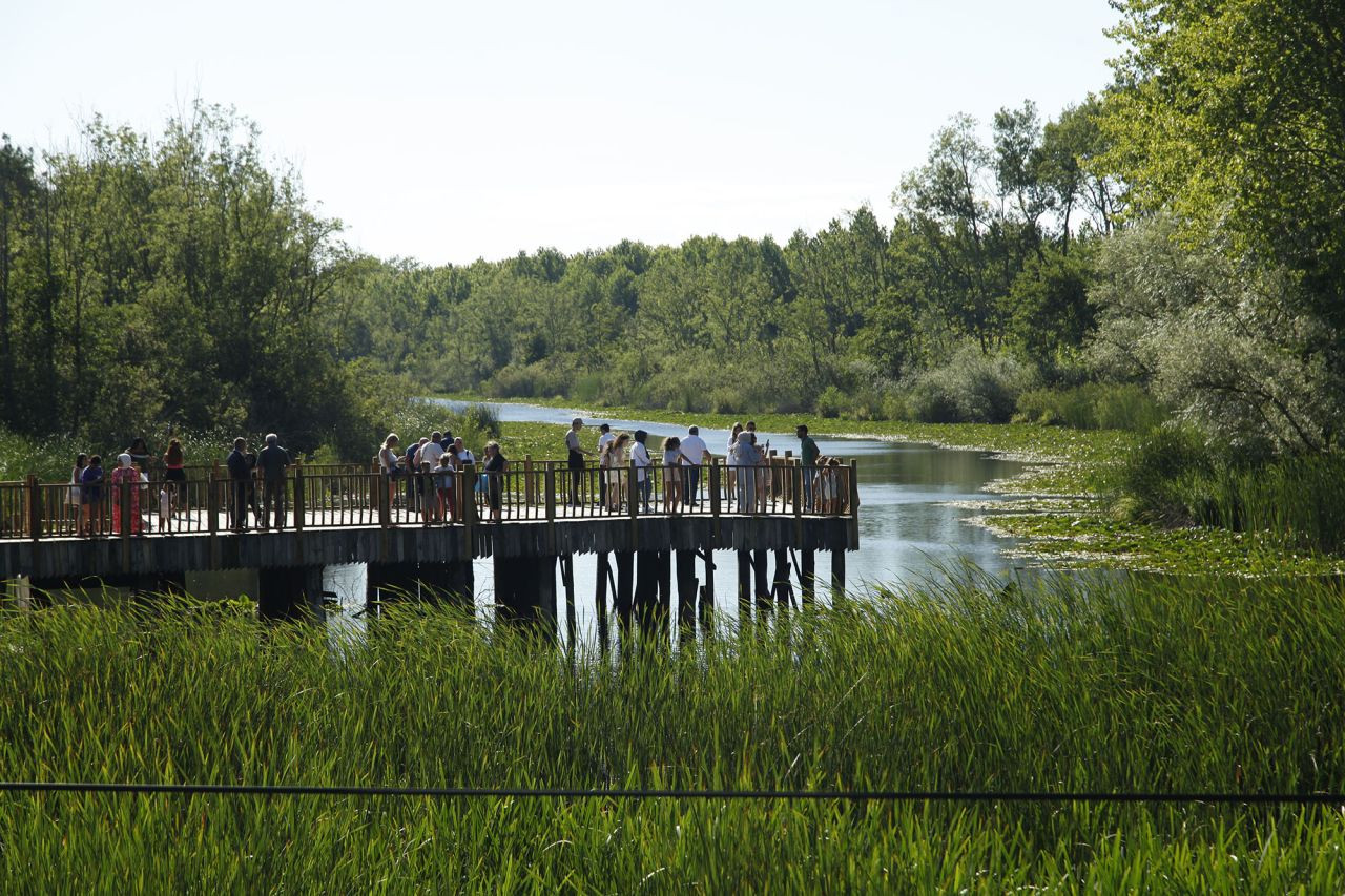 Acarlar Longozu Güzelliğiyle Misafirlerini Hayran Bıraktı - Sayfa 4