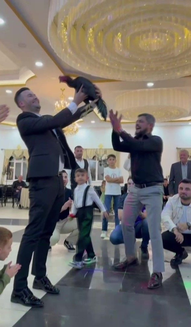 Damadın Düğününde 250 Bin TL’lik Hint Horozu Sürprizi - Sayfa 2