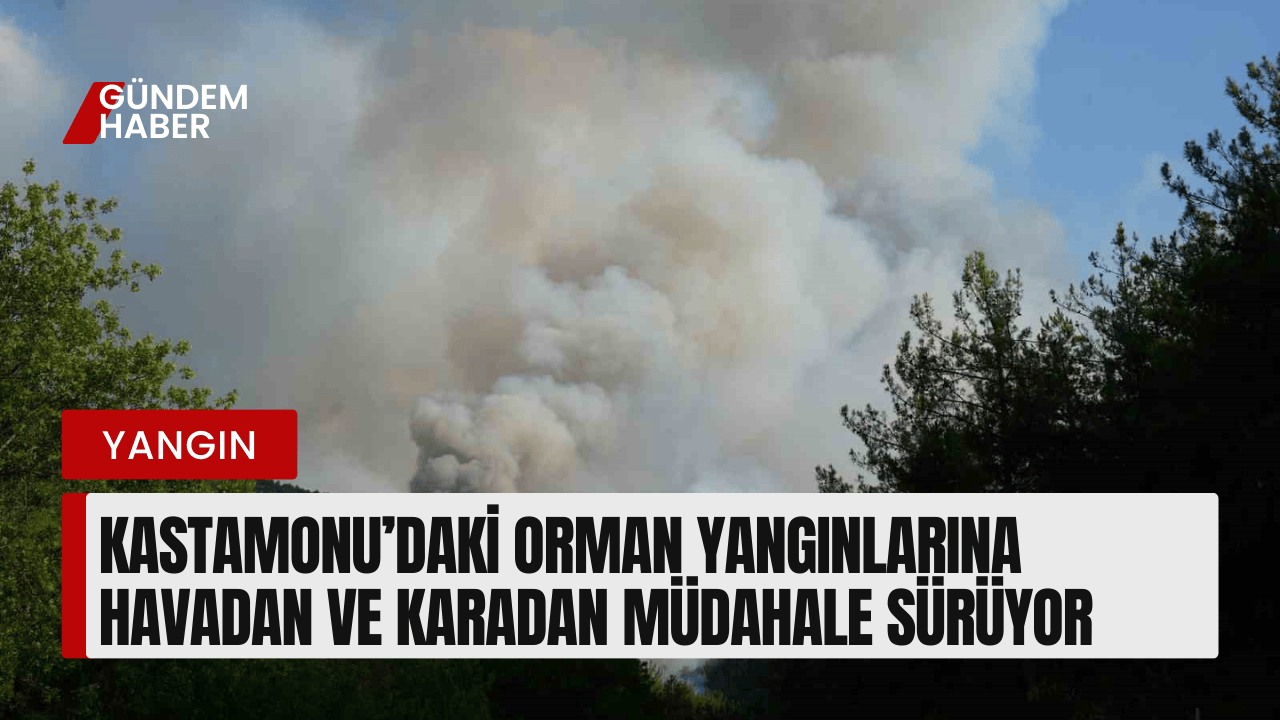 Kastamonu’daki Orman Yangınlarına Havadan ve Karadan Müdahale Sürüyor