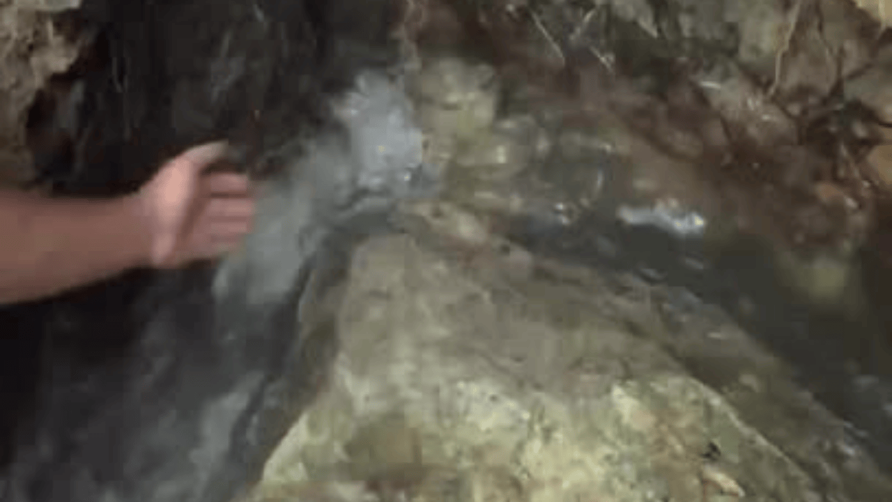 Deprem Jeotermal Akışı Tetikledi