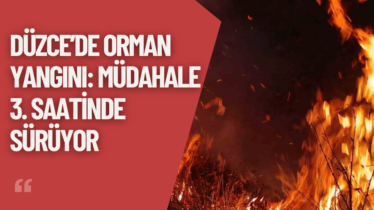 Düzce’de Orman Yangını: Müdahale 3. Saatinde Sürüyor