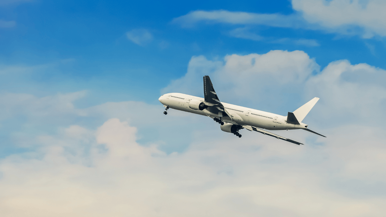 Patates ve Yolcu Uçakları Arasındaki Rekor İlişkisi - Sayfa 3