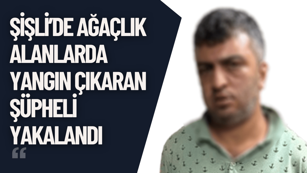 Şişli’de Ağaçlık Alanlarda Yangın Çıkaran Şüpheli Yakalandı