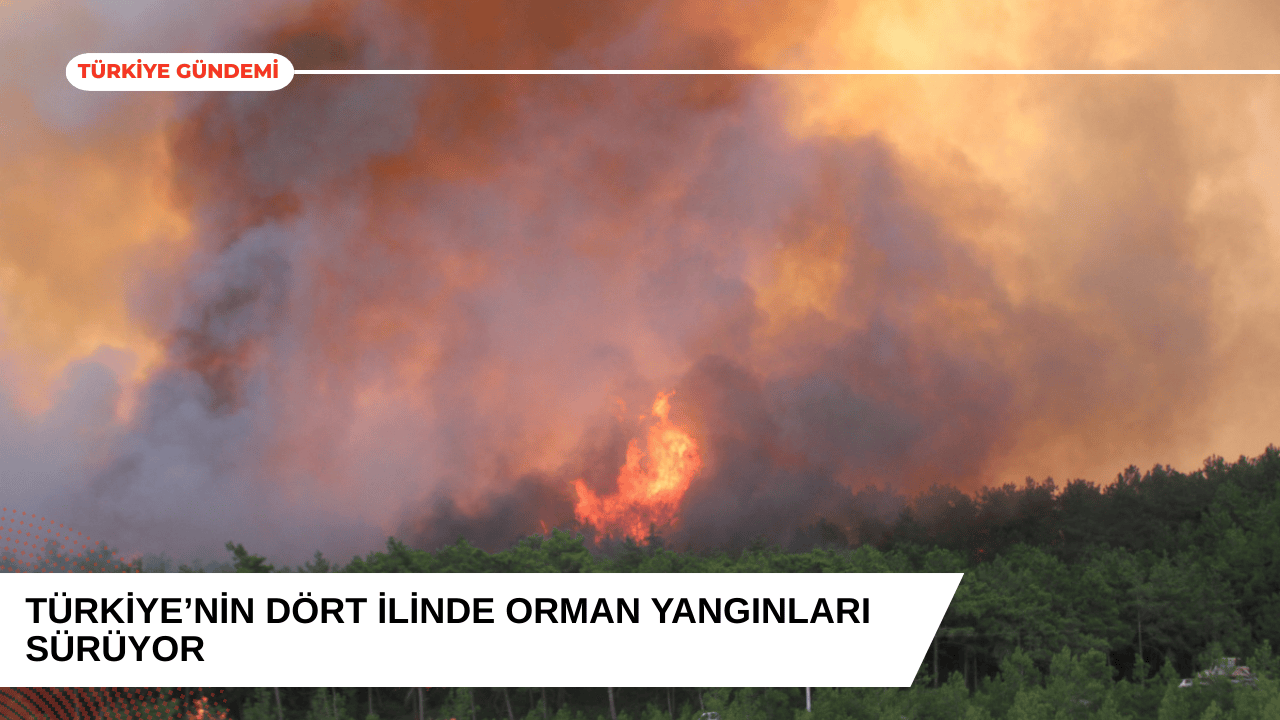 Türkiye’nin Dört İlinde Orman Yangınıyla Mücadele Sürüyor
