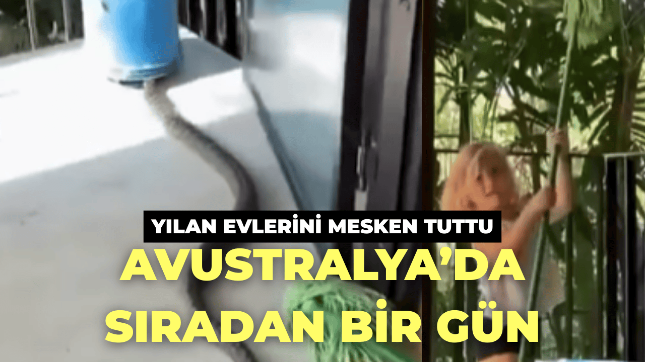 Avustralyalı Babadan Kızına Yılan Kovma Dersi