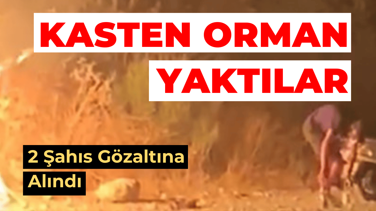 Dalaman’da Ormanlık Alanda Kasıtlı Yangın: Şüpheliler Gözaltında