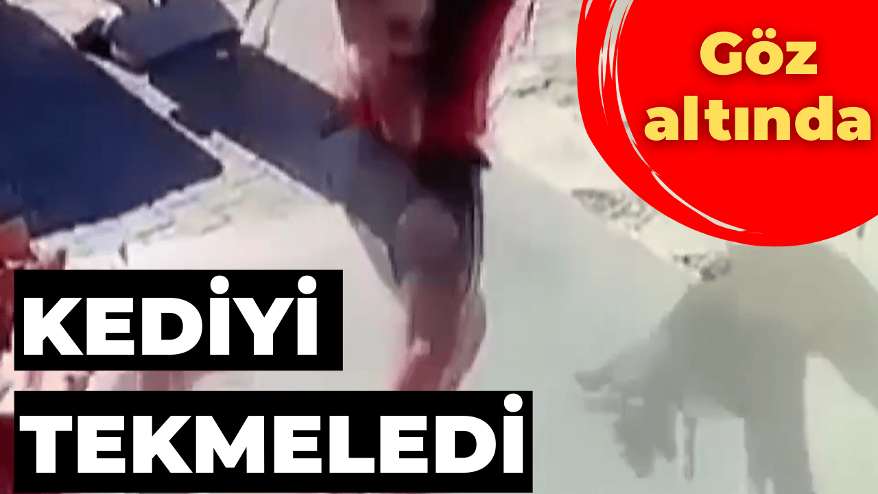 Alanya’da Kediyi Tekmeleyen Şahıs Gözaltında