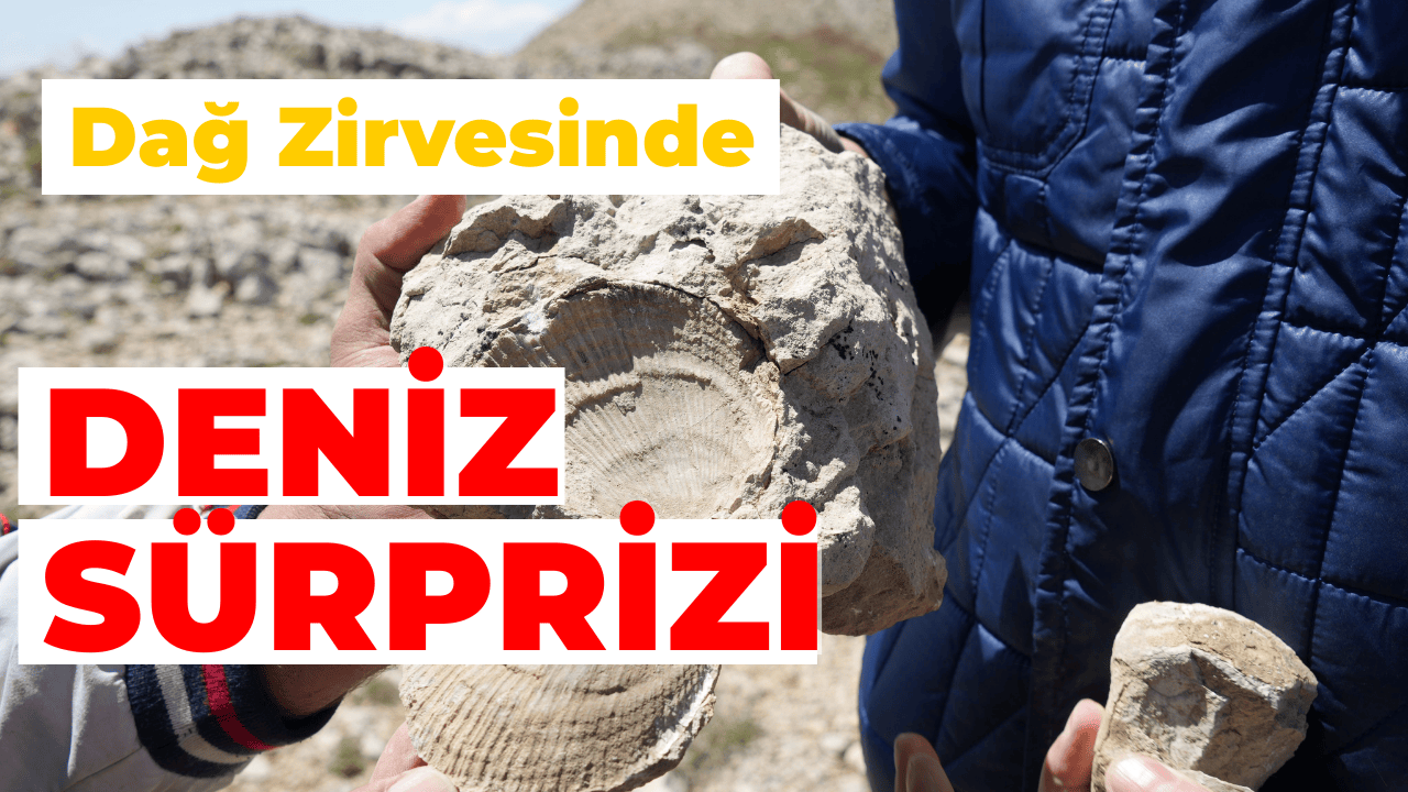 Dağ Zirvesinde Deniz Sürprizi