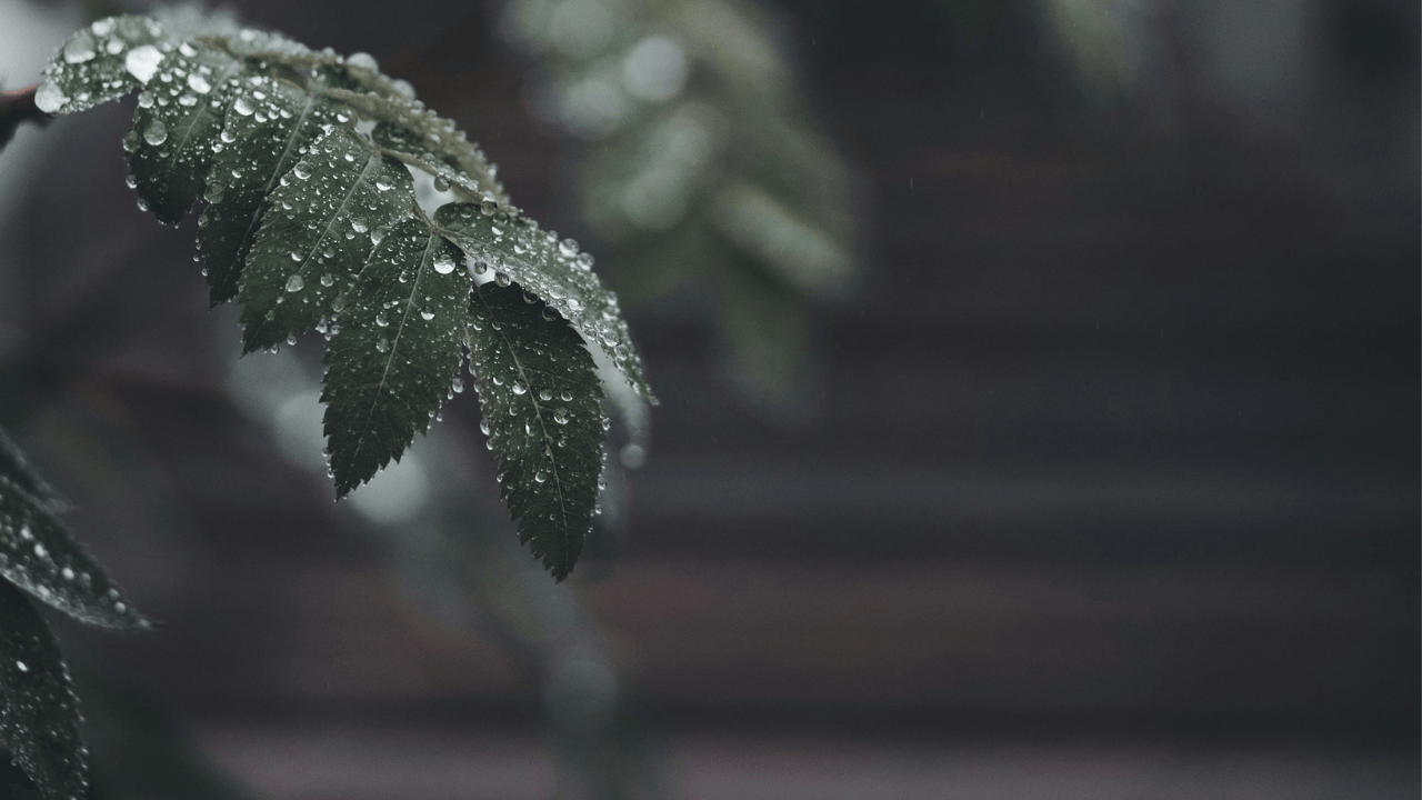 Hafta sonu Türkiye’de yağışlar etkili olacak - Sayfa 2