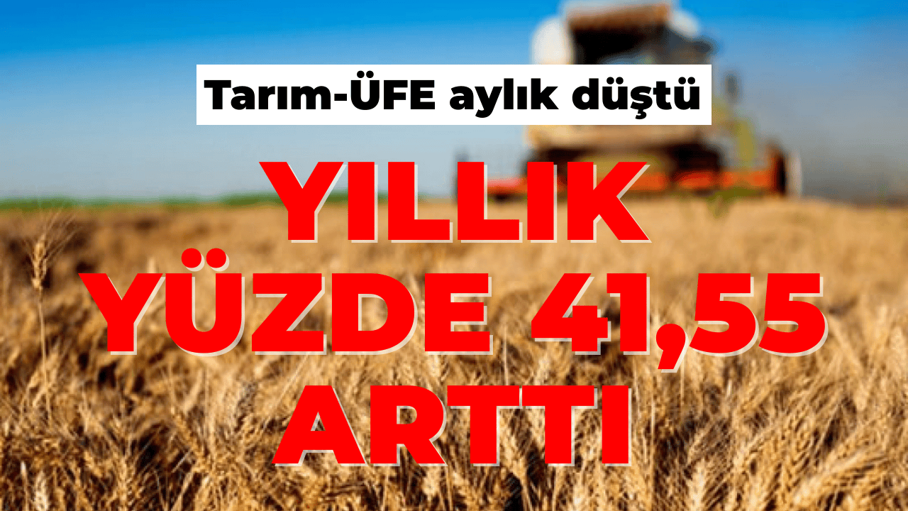 Tarım-ÜFE Aylık Düştü, Yıllık Yüzde 41,55 Arttı