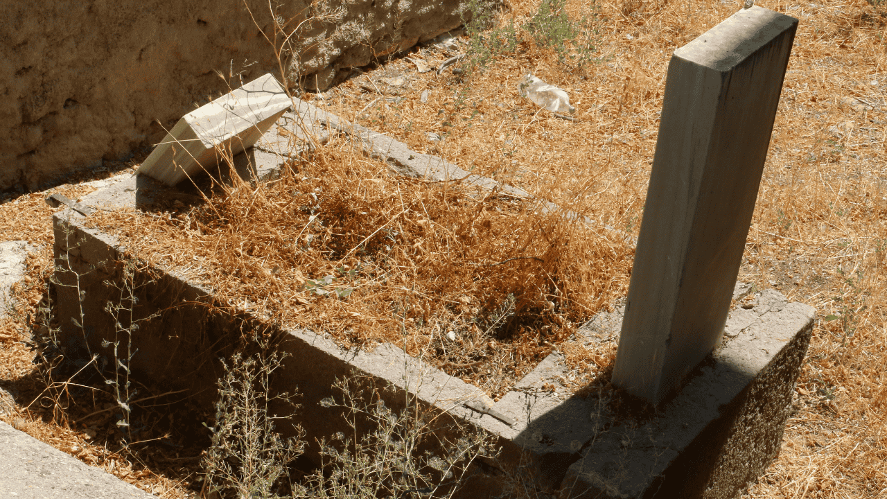 Culuk Camii: Kurtuluş Savaşı’nda Sahra Hastanesi Olarak Kullanıldı - Sayfa 3