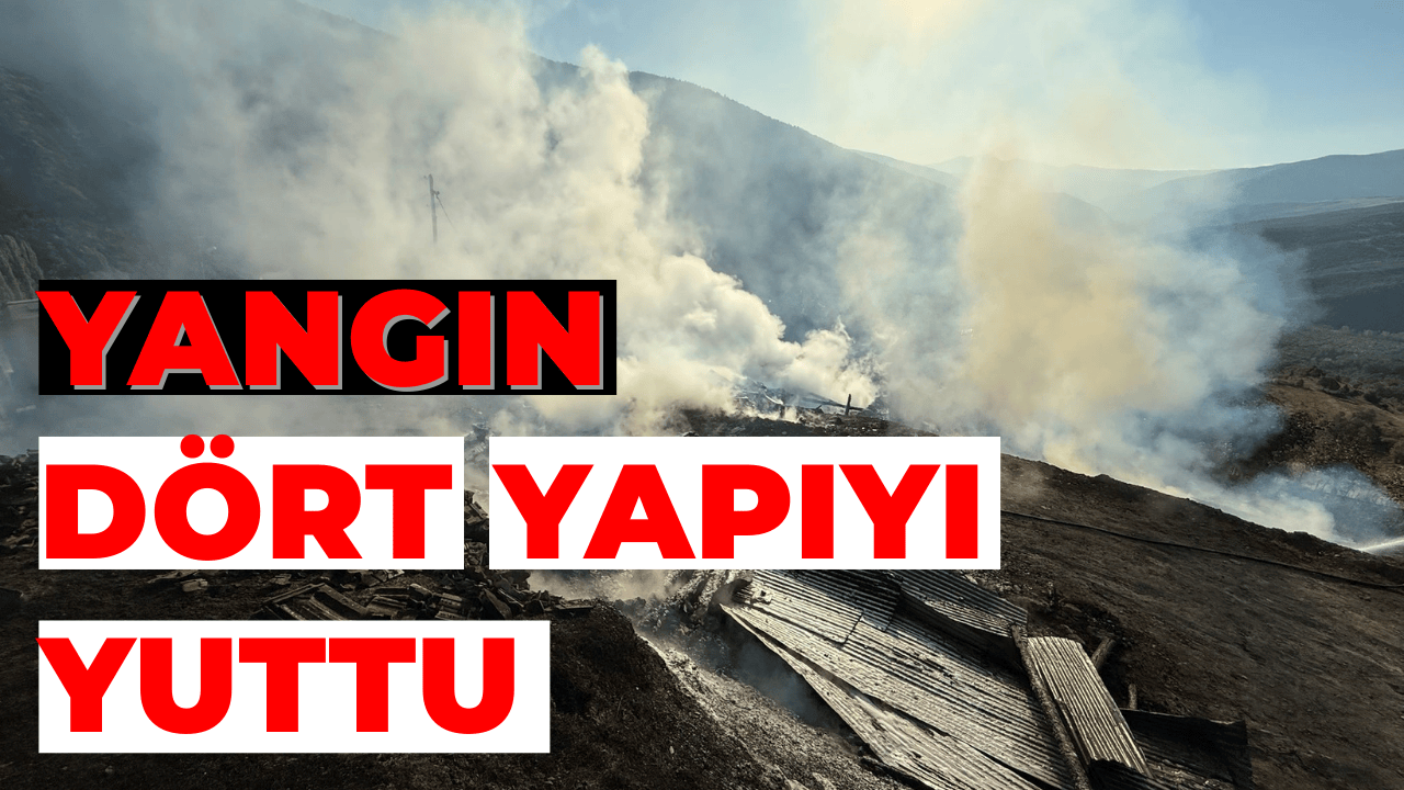 Kastamonu’da Korkutan Köy Yangını