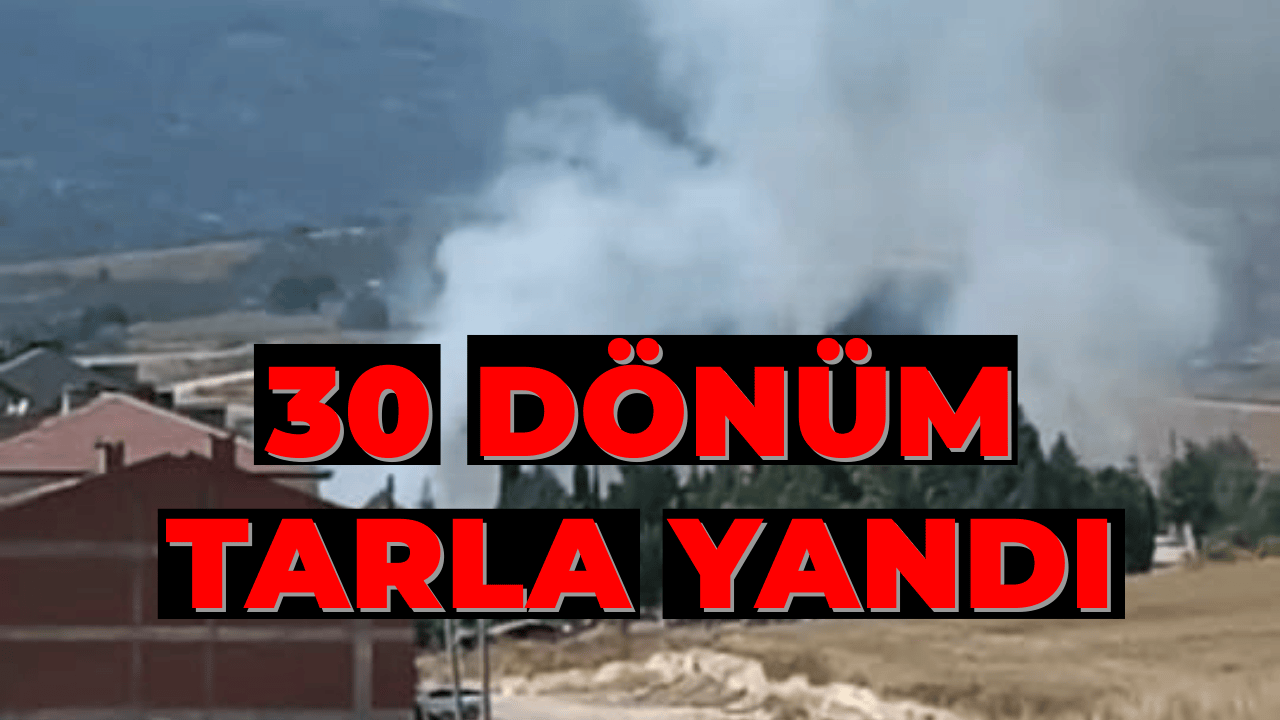 İnegöl'de Anız Yangını Paniği