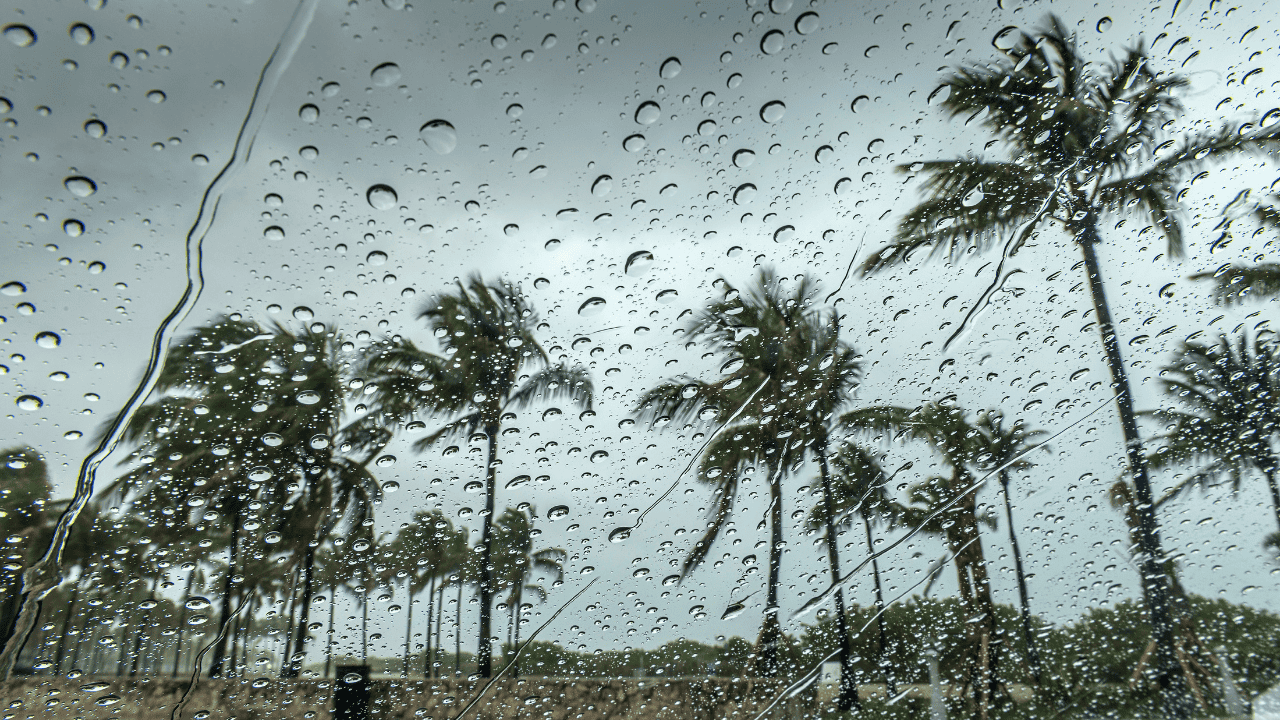 Yarından İtibaren Şehirde Sonbaharı Hissedeceğiz - Sayfa 2