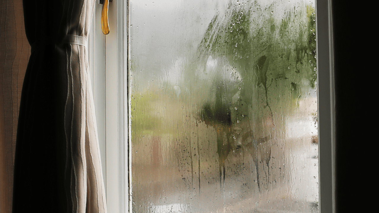 Yarından İtibaren Şehirde Sonbaharı Hissedeceğiz - Sayfa 3