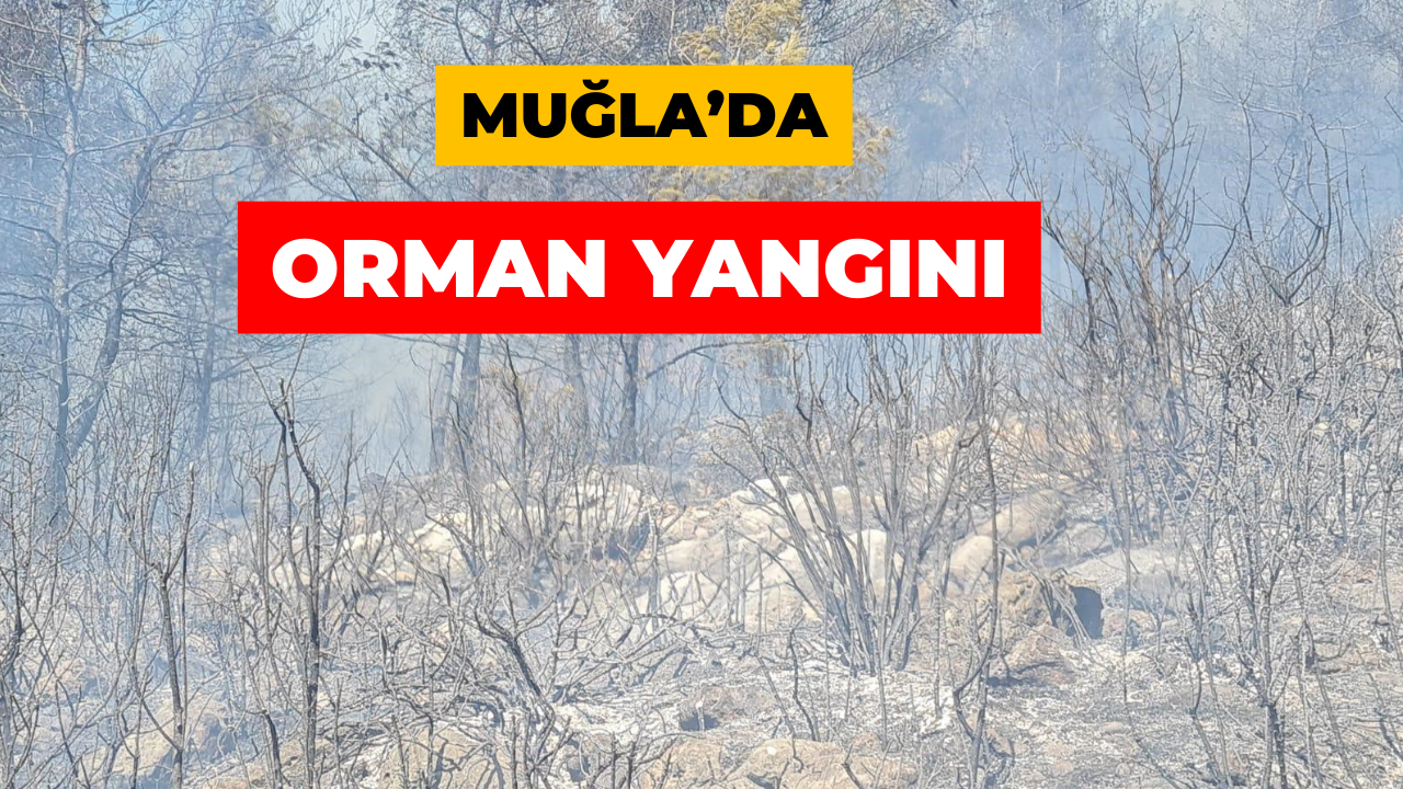 Muğla Köyceğiz’de Orman Yangını