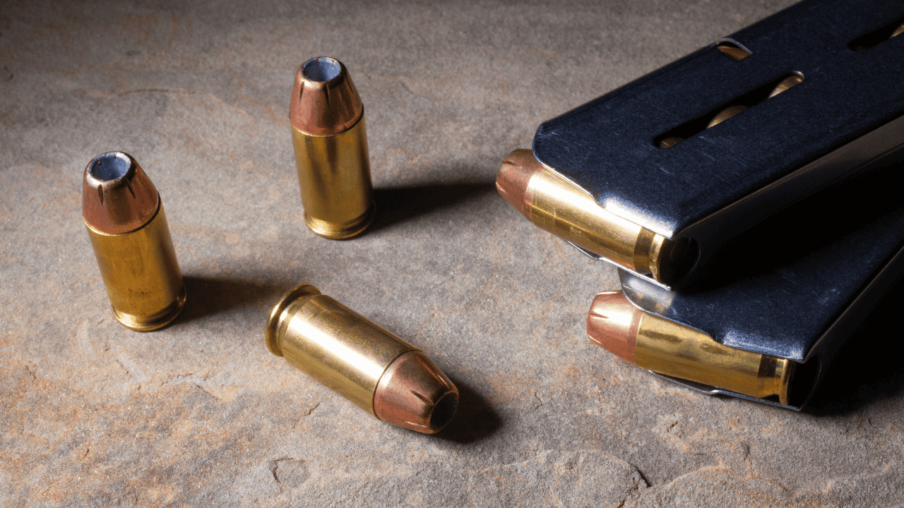 Hendek’te Cephanelik Gibi Eve Baskın: 60 Yaşındaki Şahıs Tutuklandı - Sayfa 2