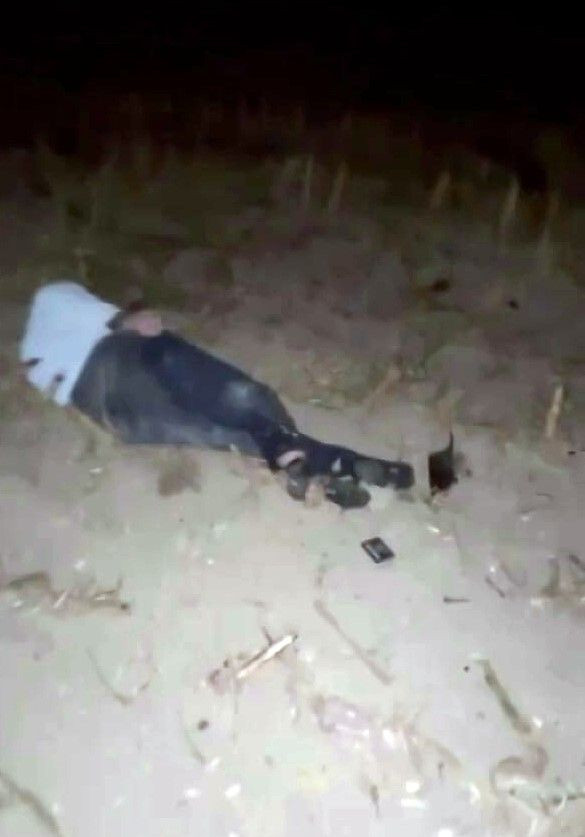 Akyazı’da Alkollü Sürücü Takla Atarak Tarlaya Uçtu - Sayfa 1