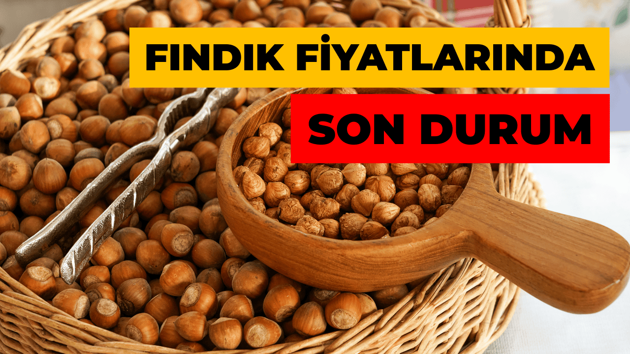Fındık fiyatlarında tarihi rekor: 340 TL’yi gördü, gözler 400 TL’de