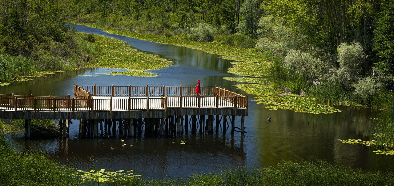 Türkiye Kültür Yolu Festivali 2026’da Sakarya’da - Sayfa 4