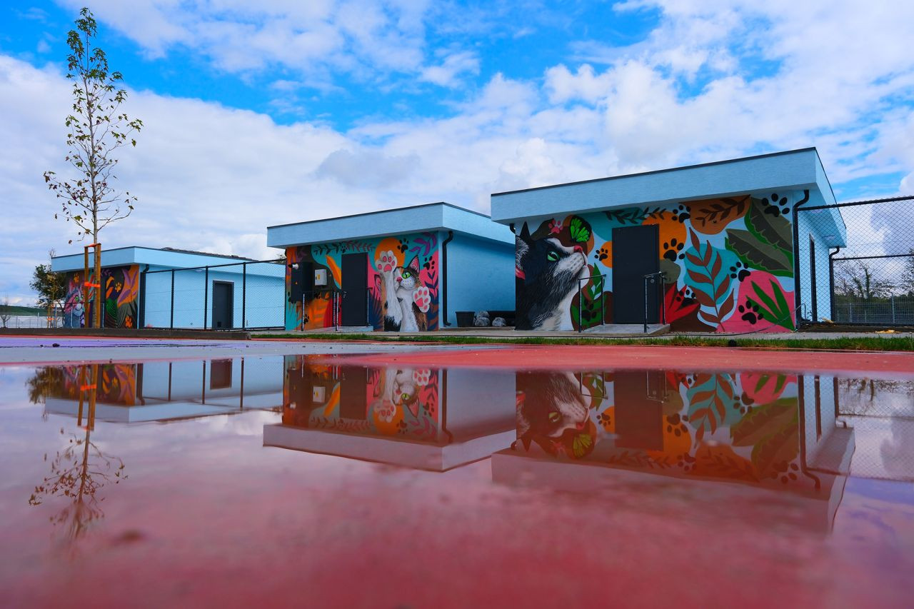 Doğal Yaşam Kampüsü’ne anlam katan grafiti sanatı - Sayfa 4