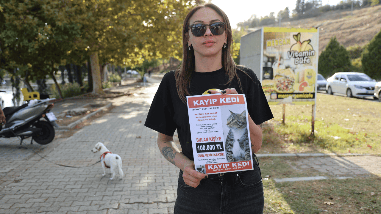 Kayıp Kedisini Bulana 100 Bin Lira Ödül Verecek - Sayfa 1