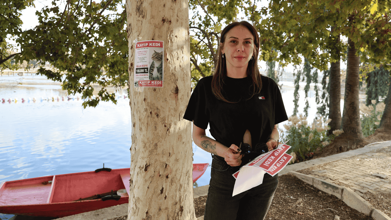 Kayıp Kedisini Bulana 100 Bin Lira Ödül Verecek - Sayfa 4