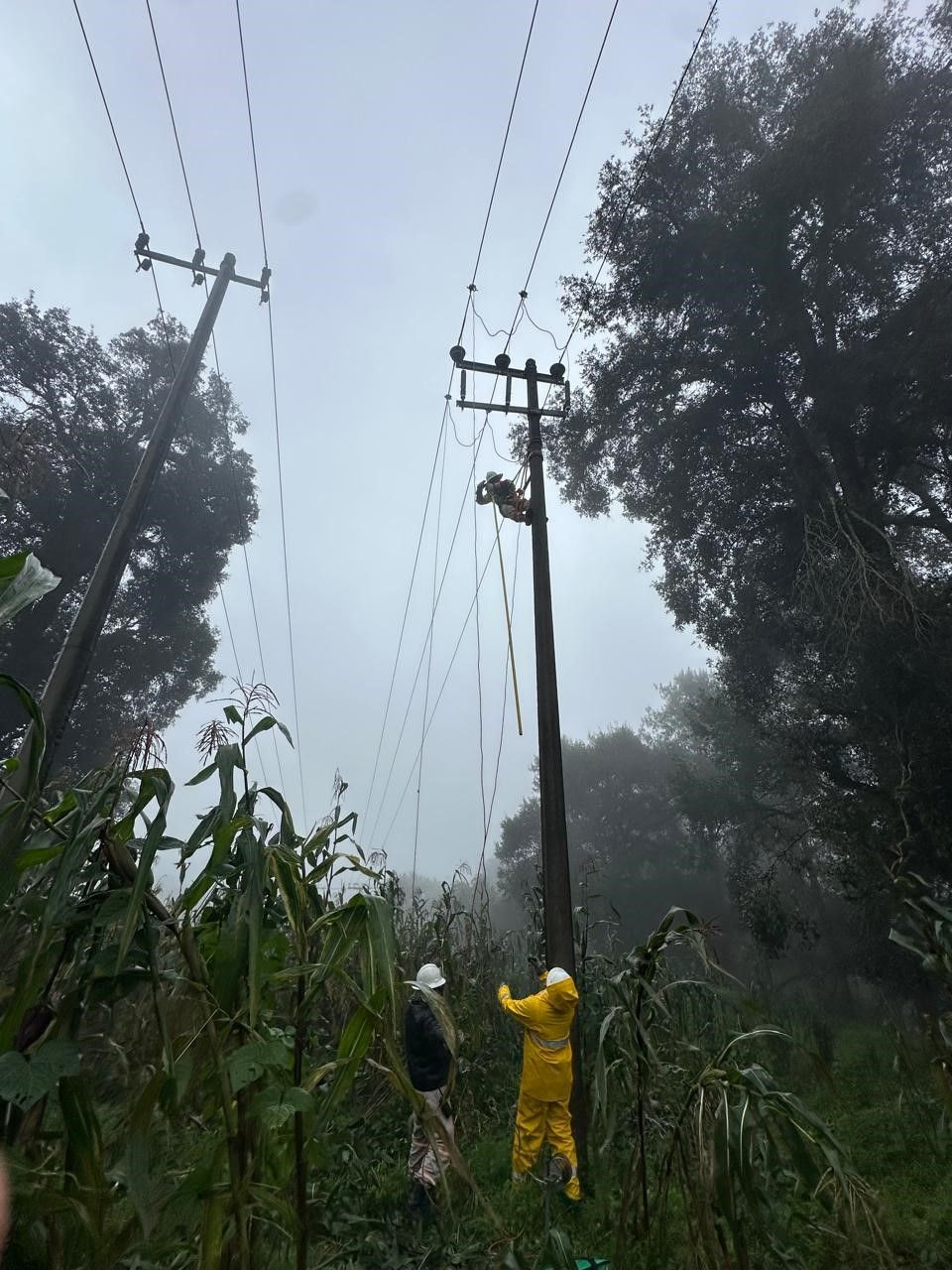 Meksika'da Sel Felaketi: 3 Eyalette 27 Kişi Hayatını Kaybetti - Sayfa 3
