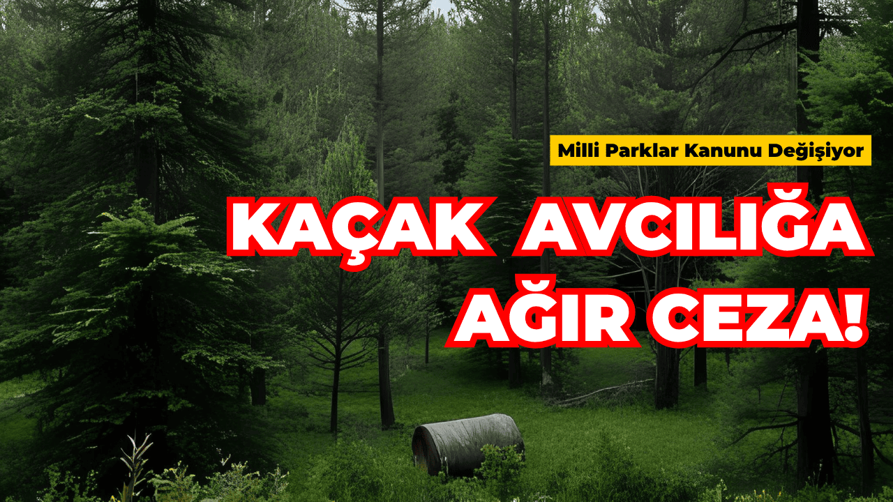 Milli Parklar Kanunu Değişiyor: Kaçak Avcılığa Ağır Ceza