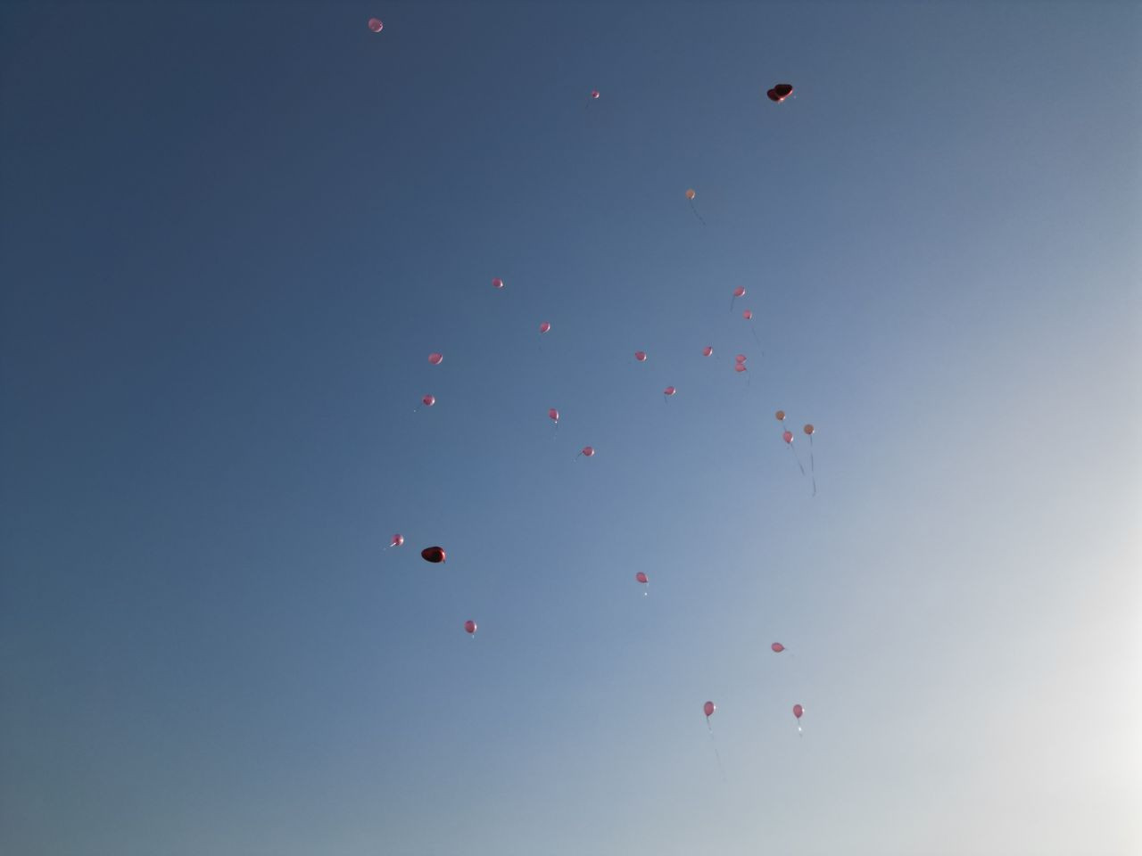 Meme Kanserini Yenen Kadın Farkındalık Etkinliği Düzenledi - Sayfa 5