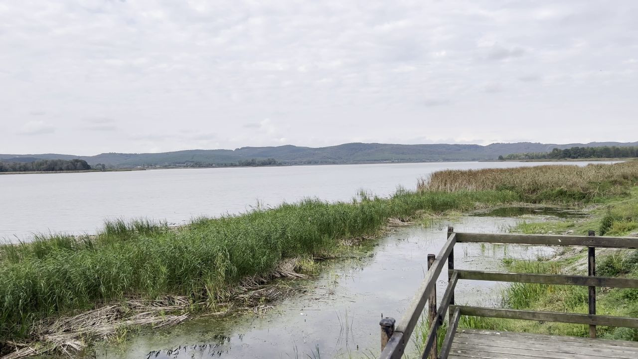 Sakarya’daki Akgöl’ün Su Seviyesi Kritik Düzeye Düştü - Sayfa 1