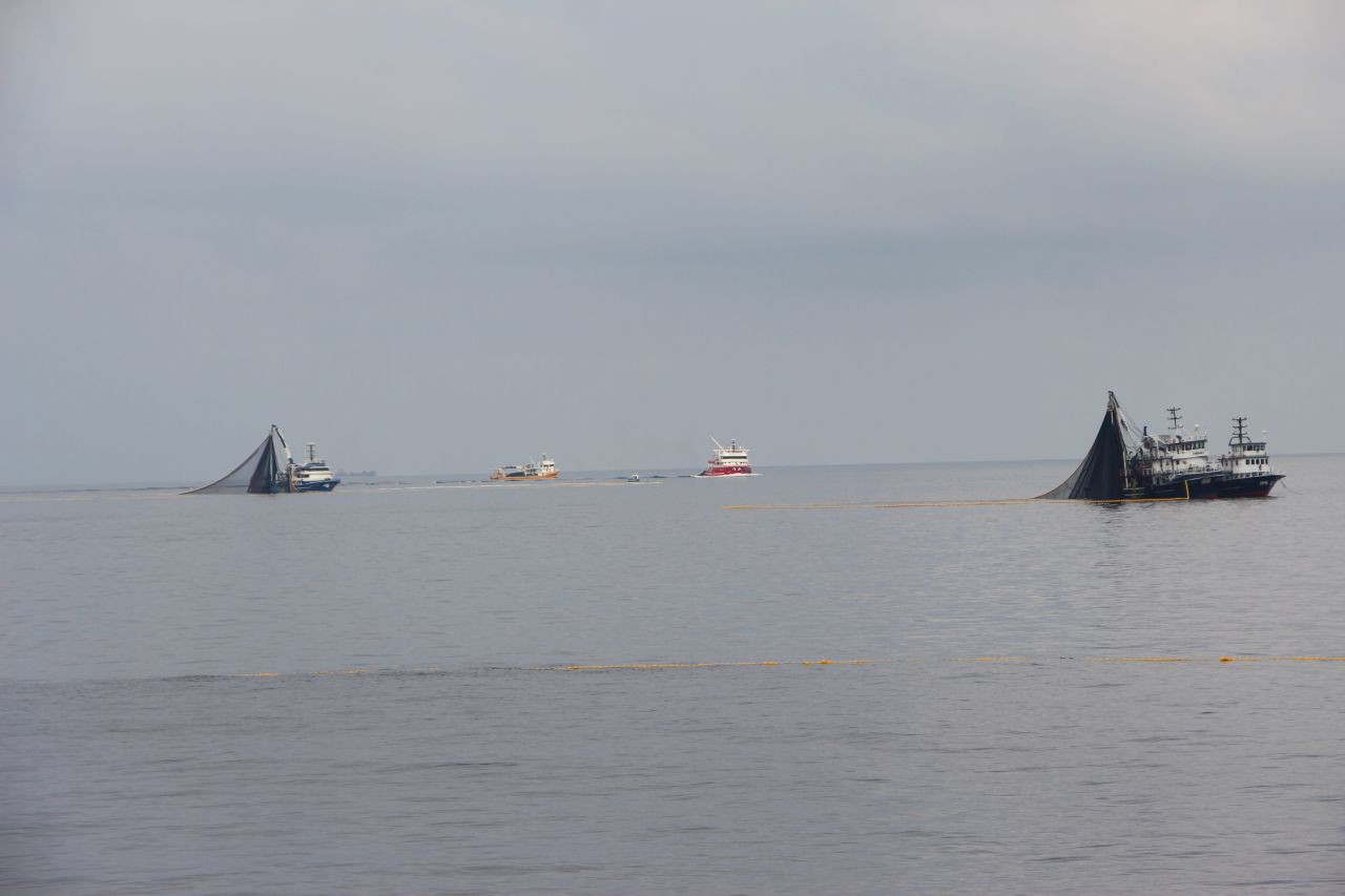 Karadeniz'de Hamsi Stokları Alarm Veriyor: Av Miktarı Yarıya Düştü - Sayfa 3