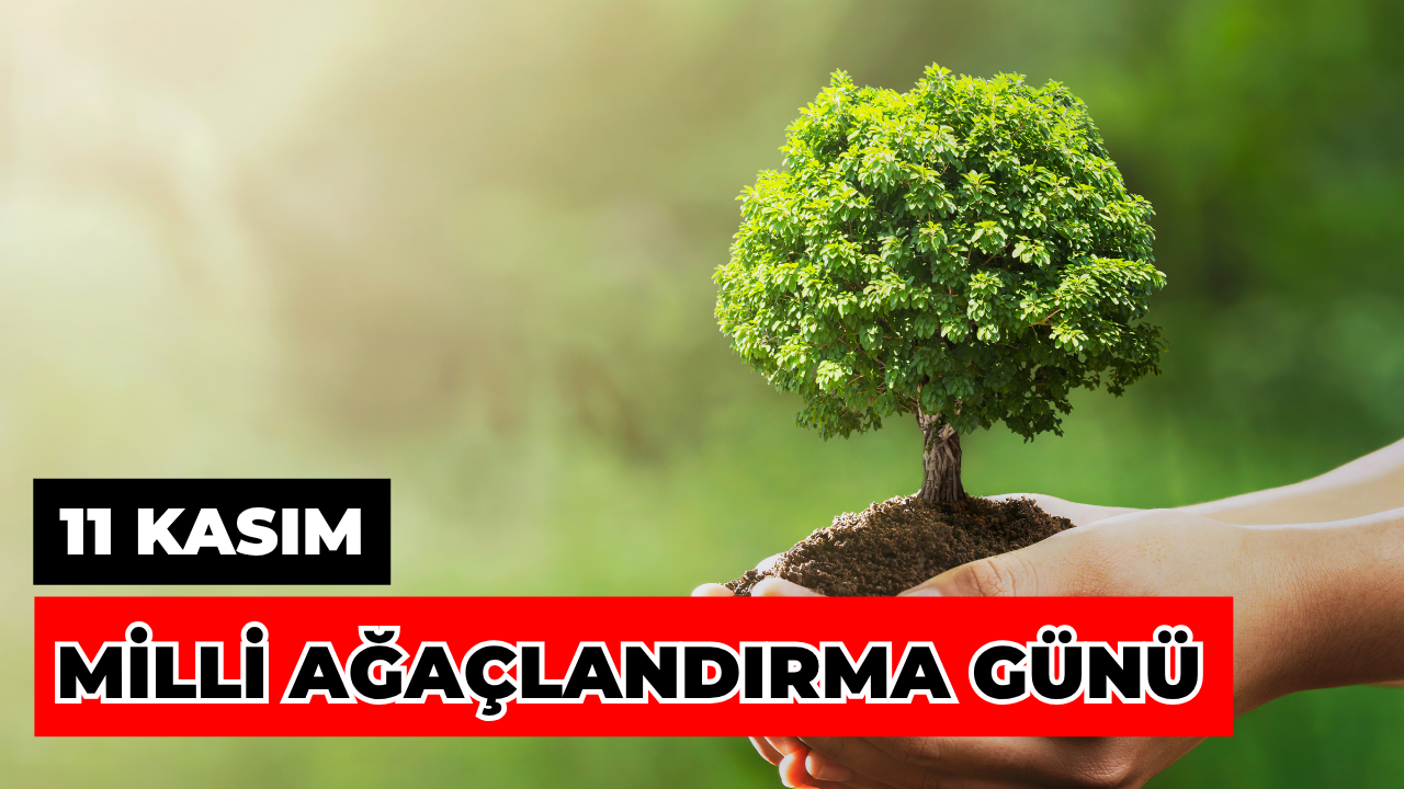 Cumhurbaşkanı Erdoğan’dan 11 Kasım Millî Ağaçlandırma Günü Mesajı