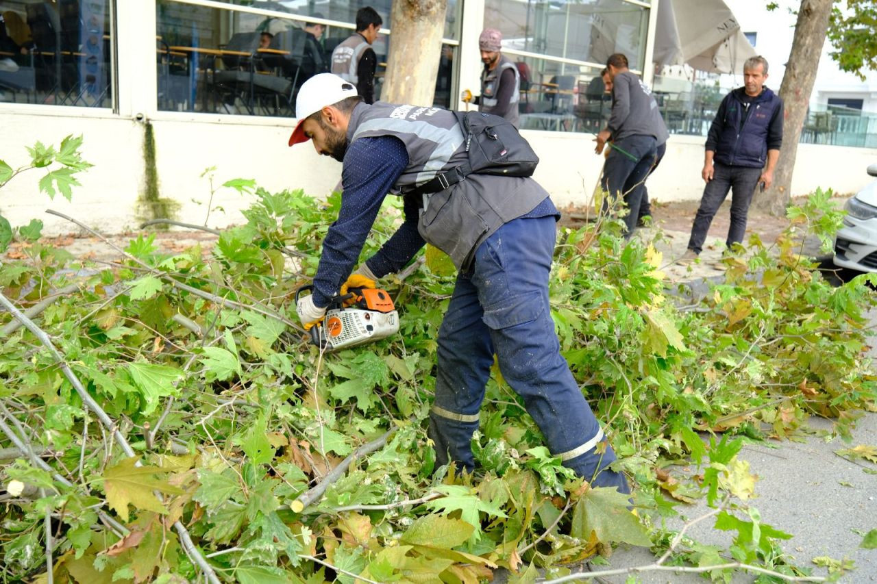 Safrancık Sokak'ta Kapsamlı Yeşil Alan Düzenlemesi - Sayfa 1